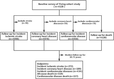 The Associations of Lipid Profiles With Cardiovascular Diseases and Death in a 10-Year Prospective Cohort Study